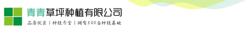 彩神- 彩吧